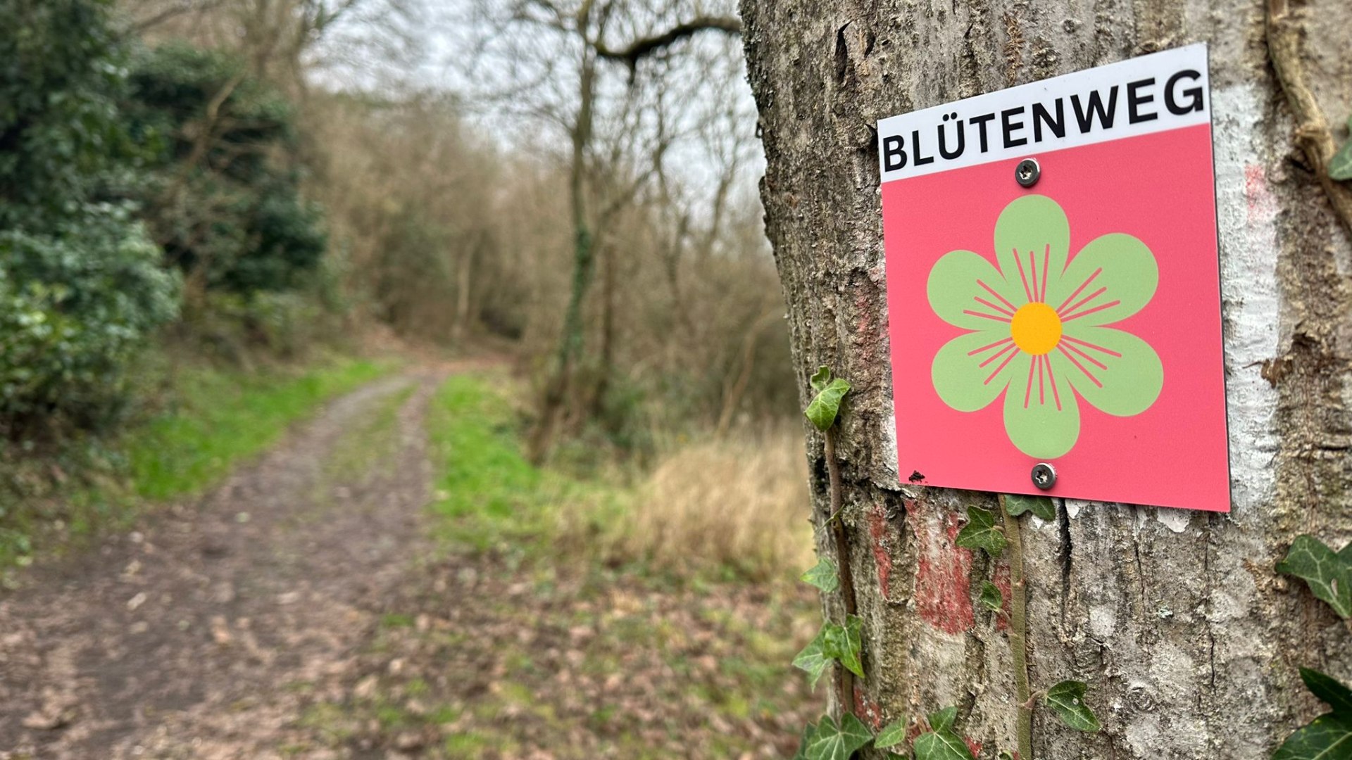 Blütenweg