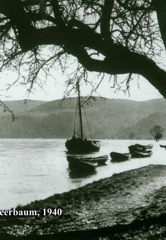 Maulbeerbaum 1940 | © Werner Runkel Maulbeerbaum 1940 | © Werner Runkel