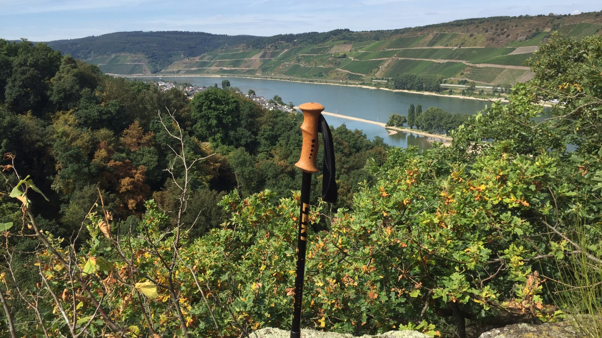 Rheinsteig Wanderung mit tollem Blick auf Osterspai