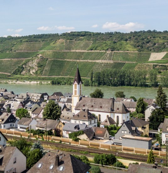 Waldpanorama | © Sebastian Reifferscheid Waldpanorama | © Sebastian Reifferscheid
