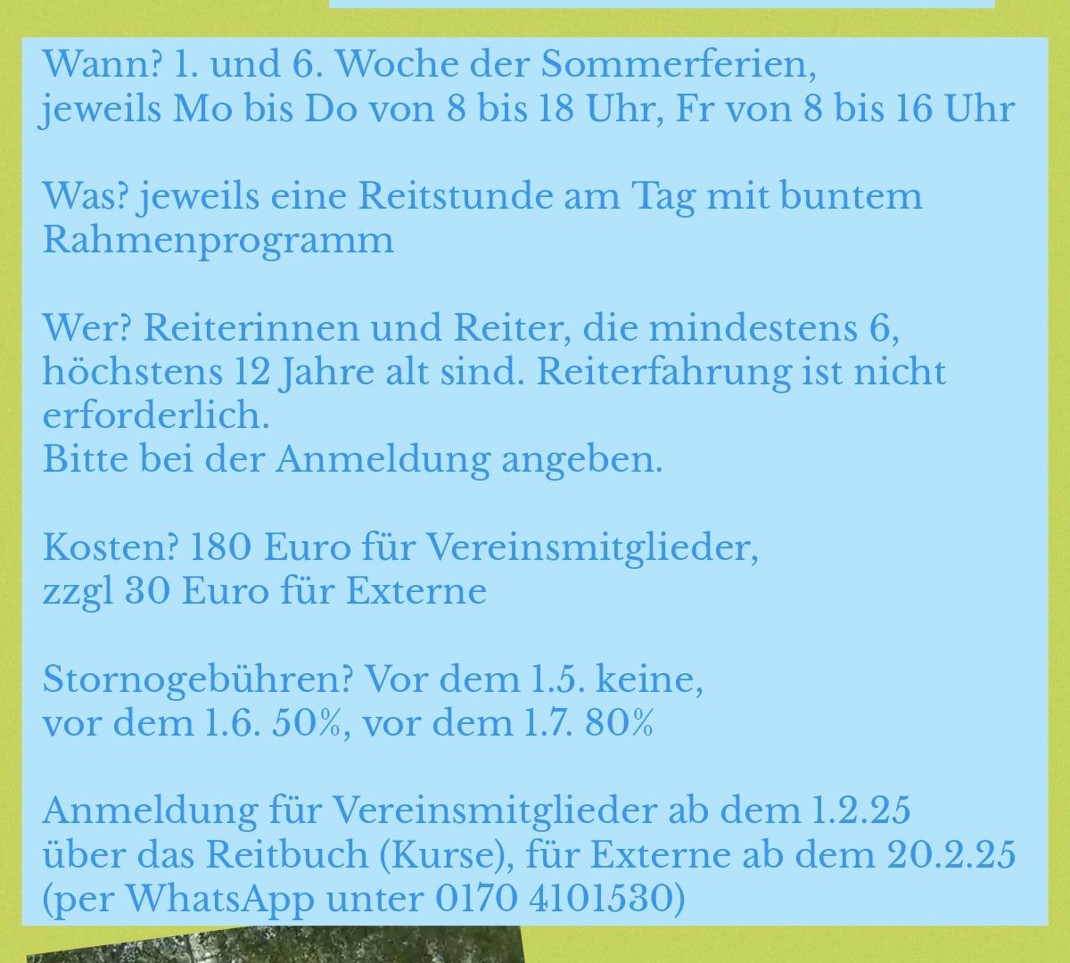 Ponyfreizeit 2025 | &copy; Reiterverein Bissingen e.V.