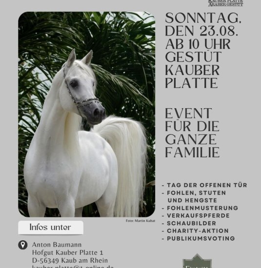 Kauber Platte | © Kauber Platte Kauber Platte | © Kauber Platte