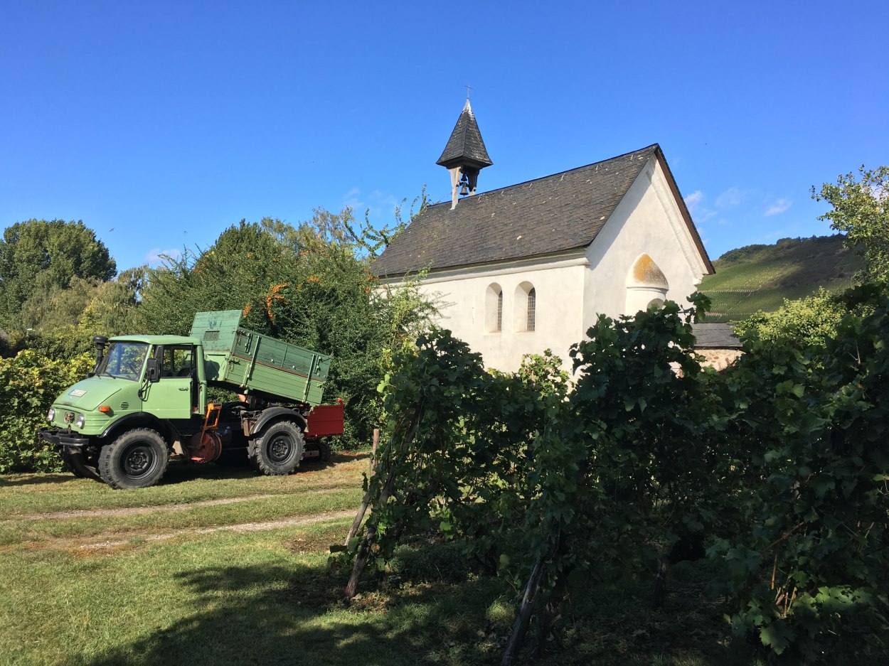 Jakobuskapelle rumringt von Weinreben | © Sebastian Reifferscheid