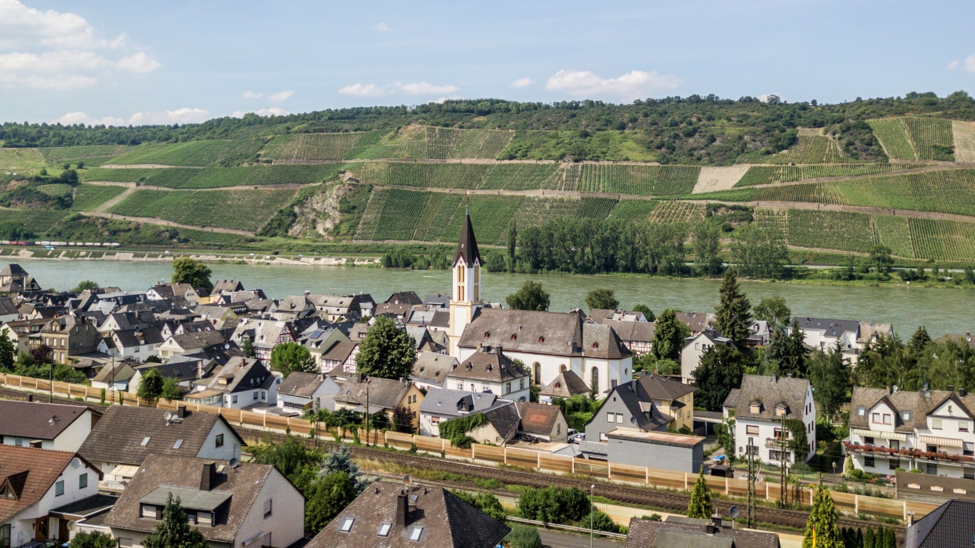 Waldpanorama | &copy; Sebastian Reifferscheid