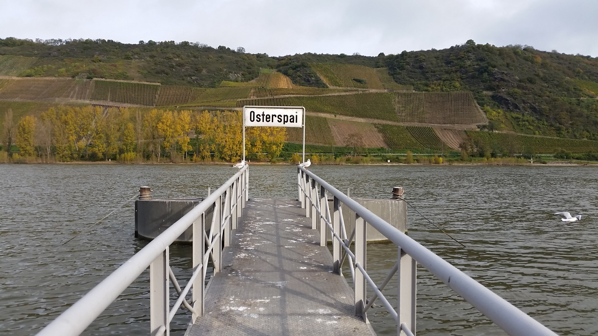 Anleger am Rheinufer | &copy; Sebastian Reifferscheid