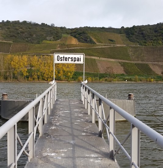 Anleger am Rheinufer | &copy; Sebastian Reifferscheid