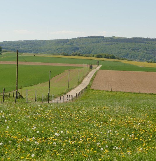 Wanderweg | © Armin Schaust Wanderweg | © Armin Schaust