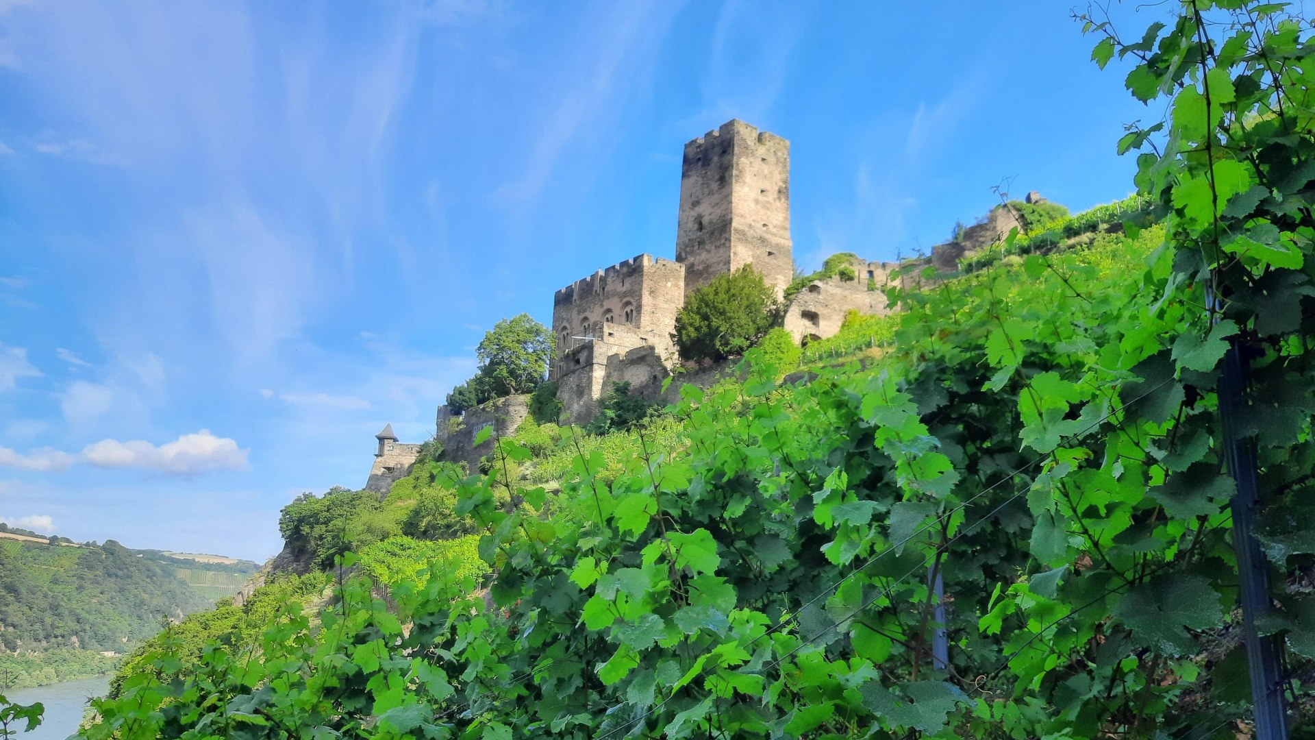 Burg Gutenfels | &copy; Peter Bahles