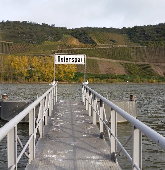 Anleger am Rheinufer | &copy; Sebastian Reifferscheid