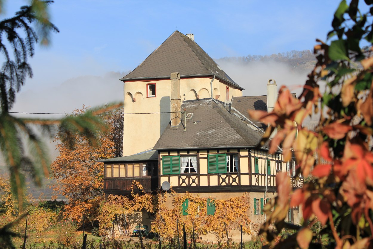 Wasserburg im Burggarten | © Joachim Schönherr