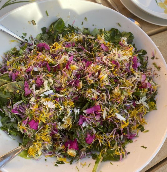 Wurzel | &copy; Angelika H&ouml;lz