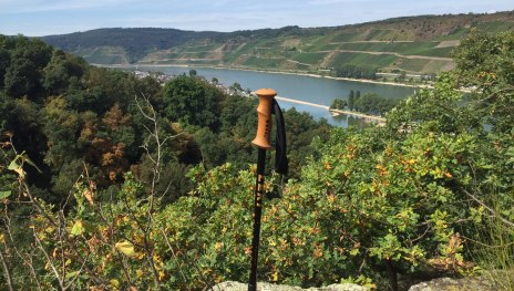 Rheinsteig Wanderung mit tollem Blick auf Osterspai