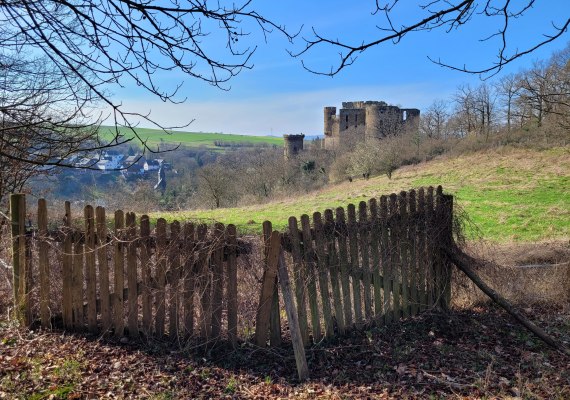 Burg Reichenberg von oben | &copy; J&ouml;rg Sauerwein