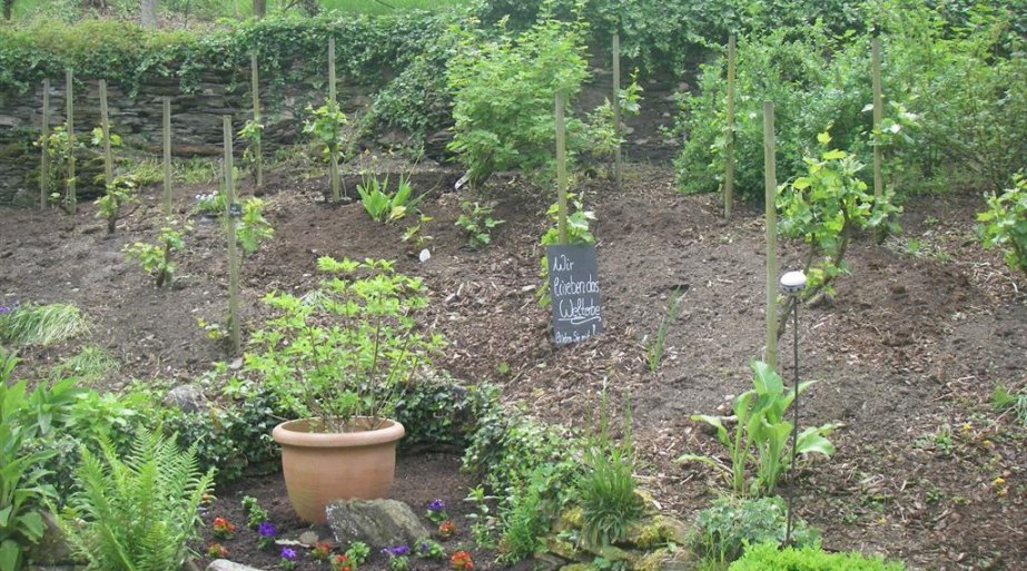 Neubeflanzung | &copy; Landgasthof Zum weissen Schwanen