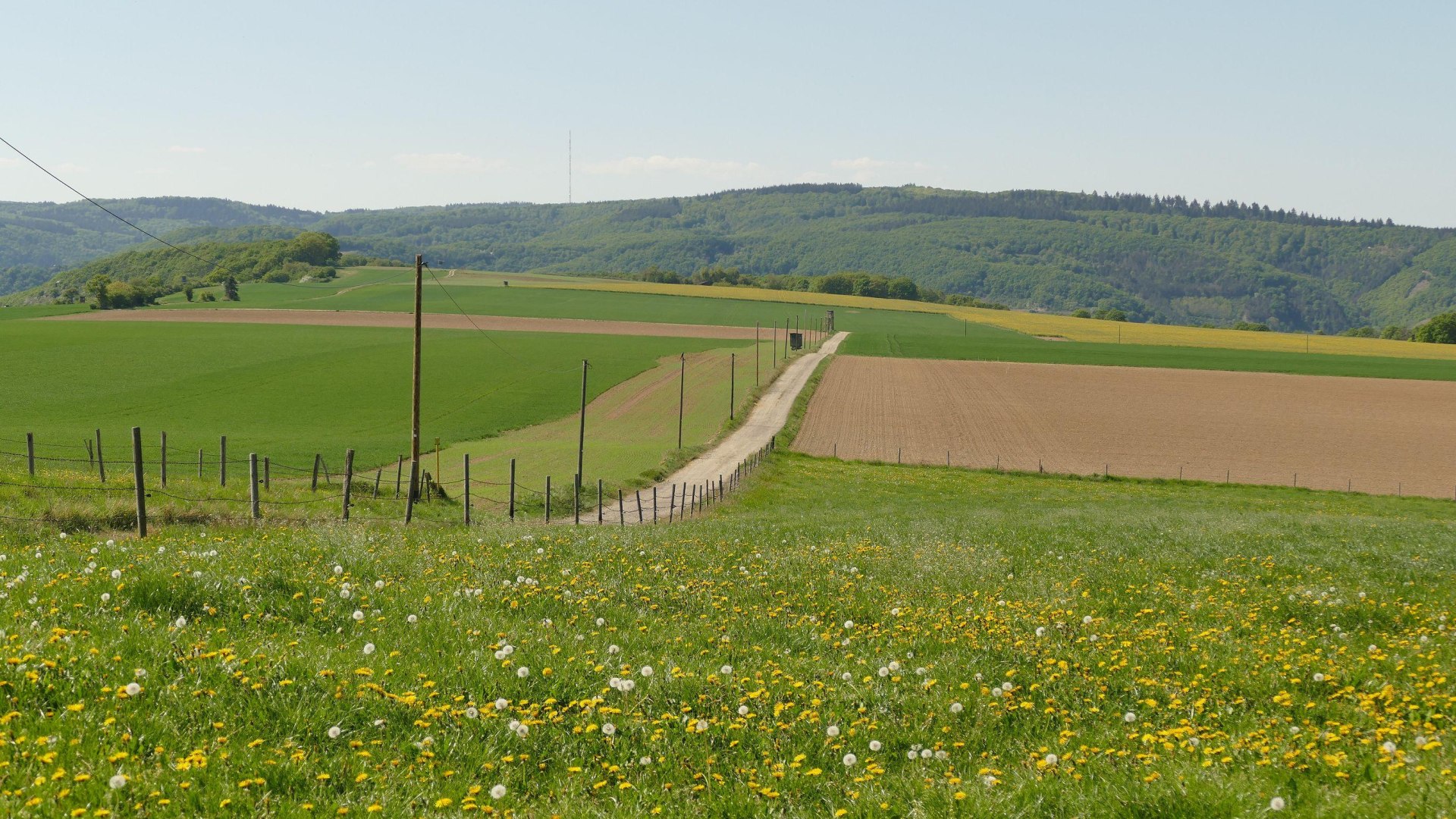 Wanderweg | &copy; Armin Schaust