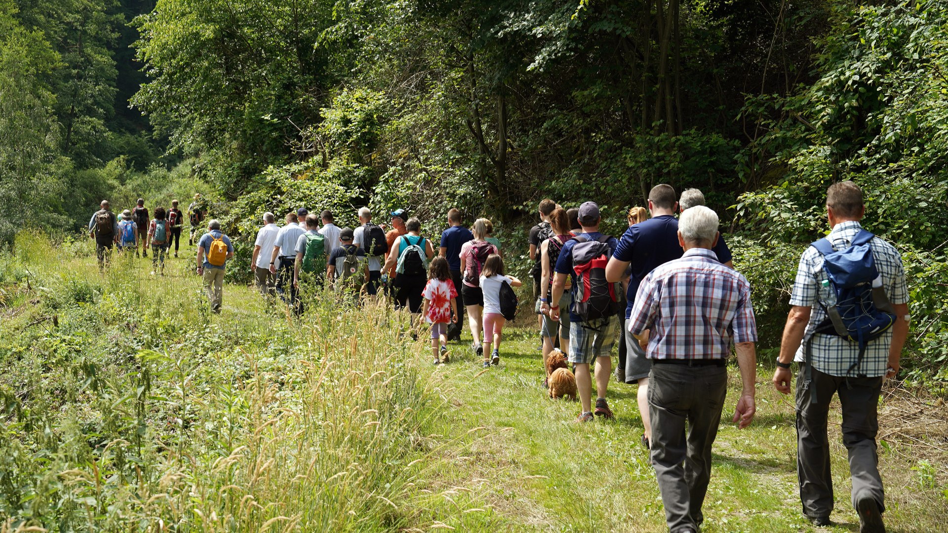 Langhalsweg Wandergruppe | &copy; Dirk F&ouml;rger