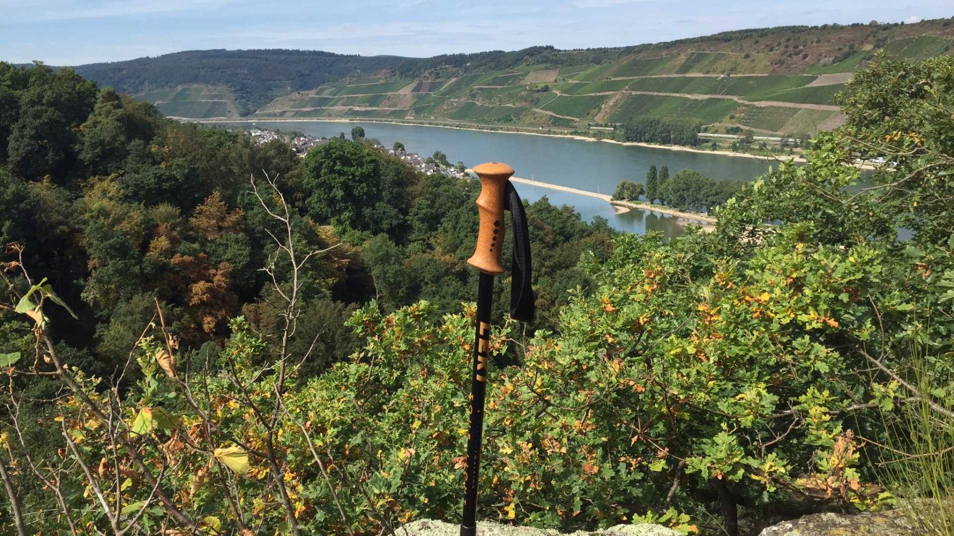 Rheinsteig Wanderung mit tollem Blick auf Osterspai Rheinsteig Wanderung mit tollem Blick auf Osterspai