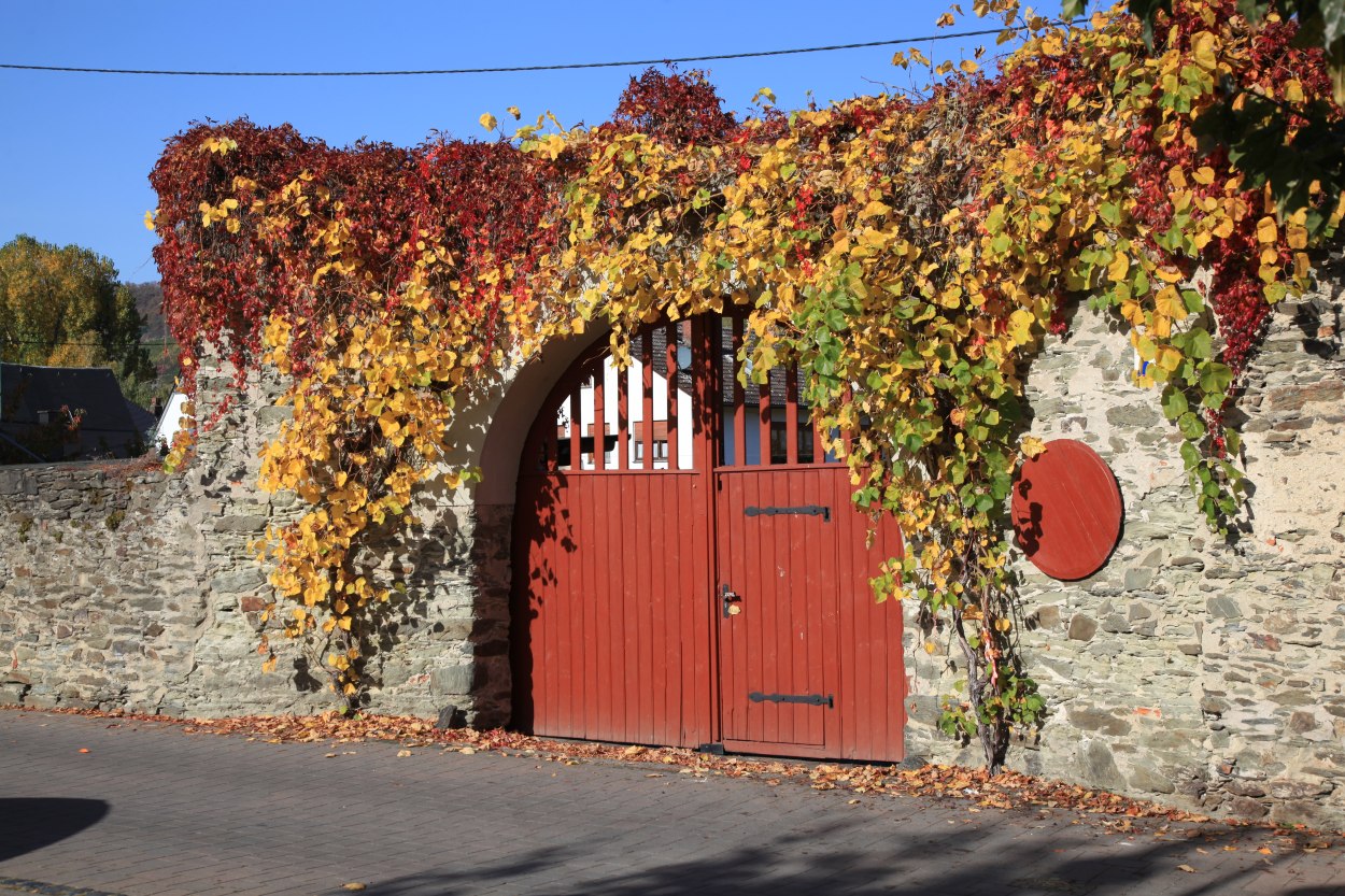 Tor zum Burggarten | © Joachim Schönherr